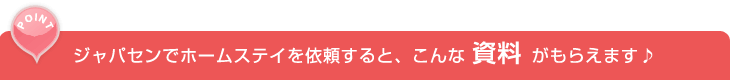 ジャパセンでホームページを依頼すると、こんな資料がもらえます♪