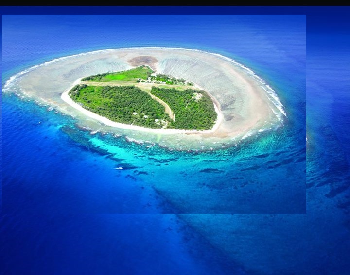 Lady Elliot Island2