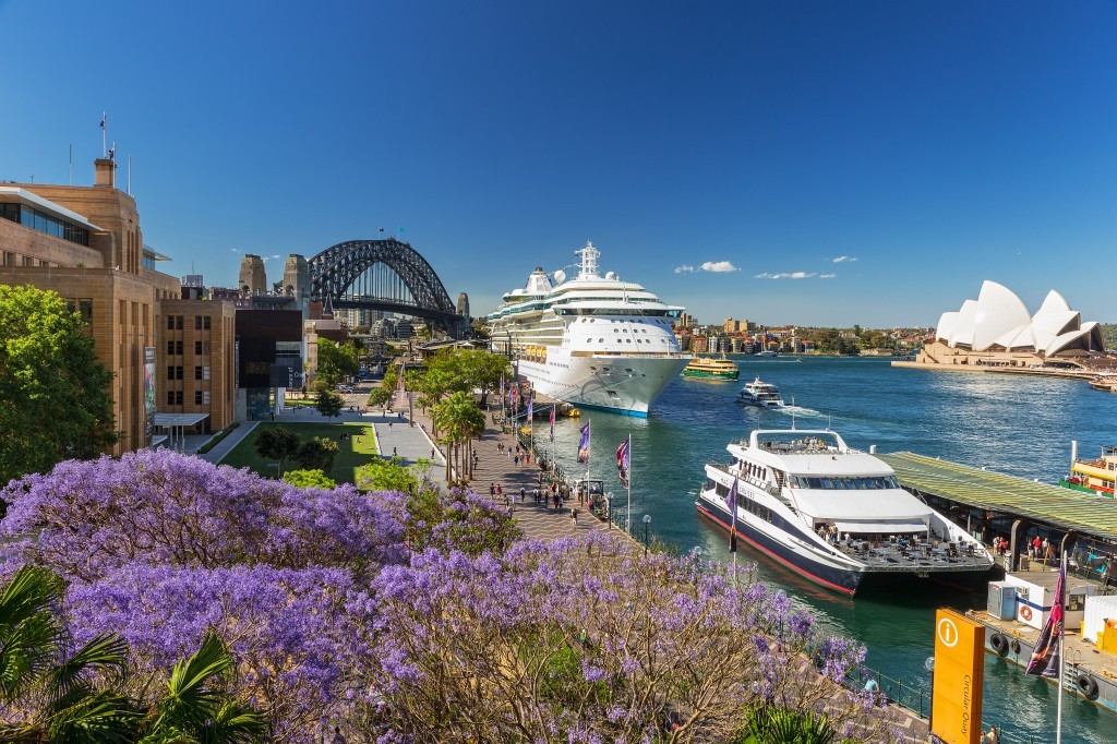 sydney-jacaranda-018-1024x682