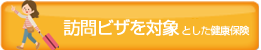 訪問ビザを対象