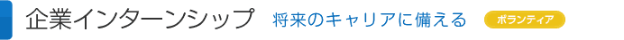 企業インターンシップ 将来のキャリアに備える（ボランティア･有給）